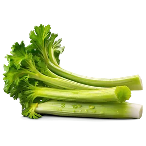 Ripe Celery PNG 06252024