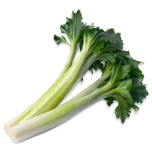 Ripe Celery PNG Kgt PNG