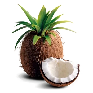 Ripe Coconut Cluster PNG 05242024 PNG