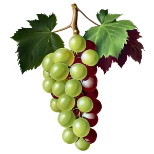 Ripe Grape Bunch PNG 6
