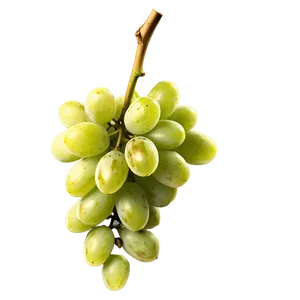Ripe Grape Bunch PNG Jmx56