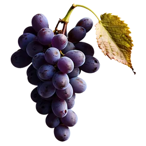 Ripe Grape Bunch PNG Wcb