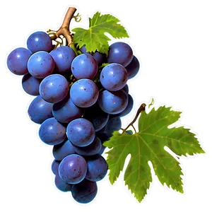 Ripe Grape Clipart Png 42 PNG image