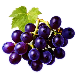 Ripe Grape Clipart Png Sep PNG image