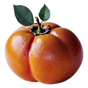 Ripe Persimmon PNG Eif