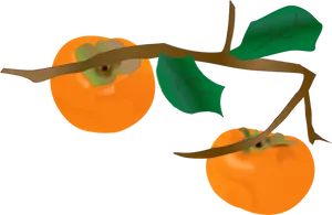 Ripe Persimmonson Branch PNG image