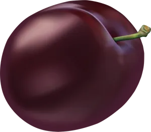 Ripe Plum Illustration PNG