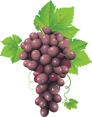 Ripe Red Grape Cluster.png