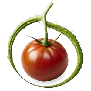 Ripe Red Tomato Png 59 PNG image