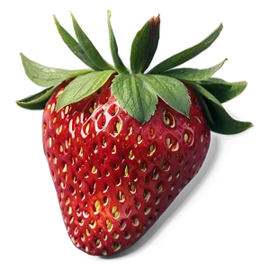 Ripe Strawberry PNG 05042024