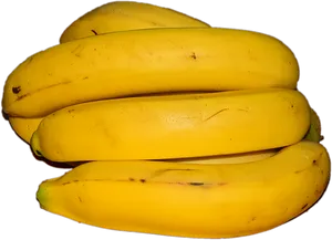 Ripe Yellow Bananas Black Background