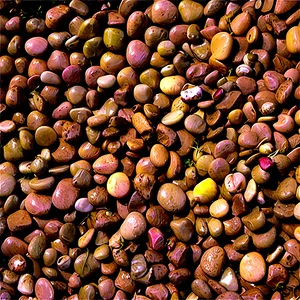 River Rock Mulch Alternative PNG 06292024