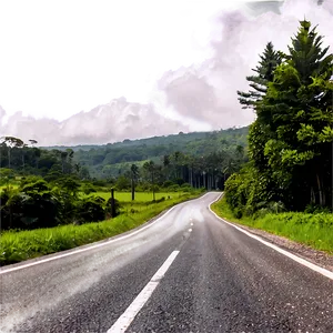 Road In Forest Png 6 PNG image