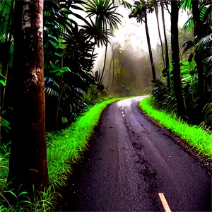 Road In Rainforest Png Han PNG image