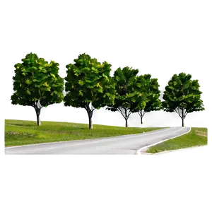 Road With Trees Png Hwu PNG image