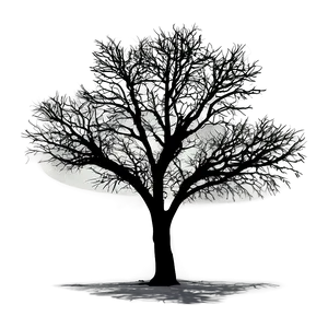 Roadside Tree Silhouette Png Awm PNG image