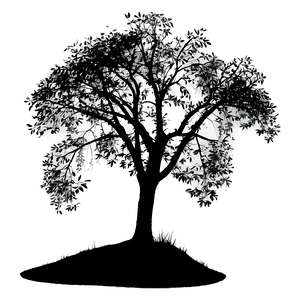 Roadside Tree Silhouette Png Iyq55 PNG image