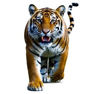 Roaring Tiger In Jungle PNG Kyk63 PNG
