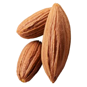 Roasted Almond PNG Cud42