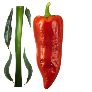 Roasted Pepper Png Clp54 PNG image