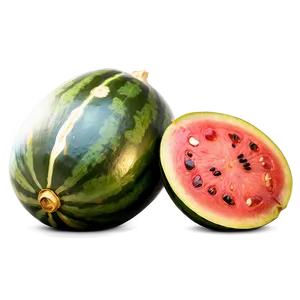 Roasted Watermelon Seeds Png 98 PNG image