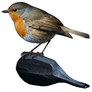 Robin Bird Spring PNG Ota72
