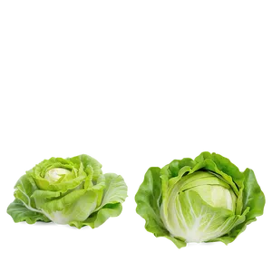 Robust Lettuce Png 17 PNG image