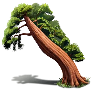"robust Redwood Tree PNG" 04302024