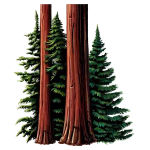 "robust Redwood Tree PNG" 60