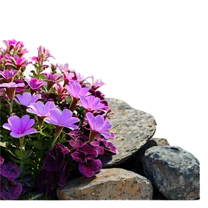 Rock Flower Bed PNG Eif