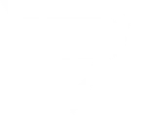 Rocket League V P Pro Team Logo PNG image
