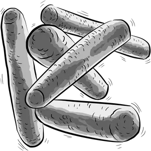 Rod Shaped Bacteria Illustration