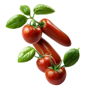 Roma Tomatoes PNG 55