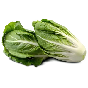 Romaine Lettuce Png 05242024 PNG image