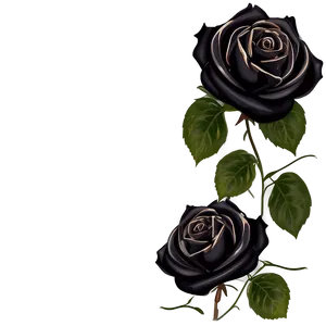 Romantic Black Rose Border Png Whx98 PNG image