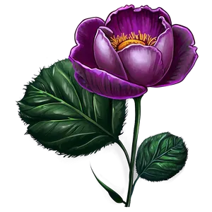 Romantic Flower Sketch PNG Swn PNG