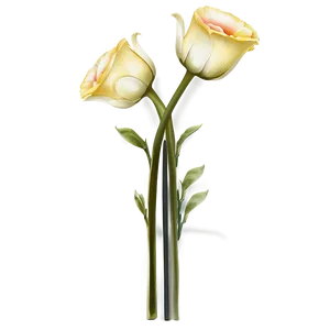 Romantic Flower Stem PNG 06132024