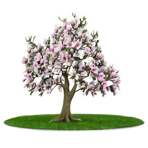 Romantic Magnolia Tree Scene PNG 06212024 PNG