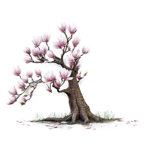 Romantic Magnolia Tree Scene PNG 06212024 PNG
