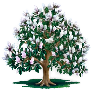 Romantic Magnolia Tree Scene PNG Umq PNG