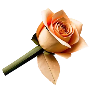 Romantic Paper Rose Bouquet PNG 06282024 PNG