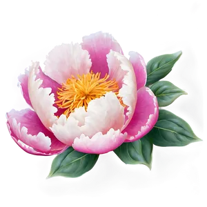 Romantic Peony Pattern PNG Mie89 PNG
