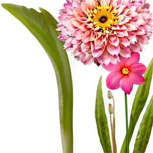 Romantic Pink Flowers Png Ykn19 PNG image