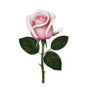 Romantic Pink Rose PNG Qhj38