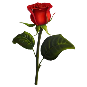 Romantic Red Rose PNG Yyu