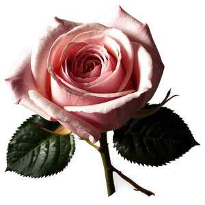 Romantic Vintage Rose PNG 36 PNG
