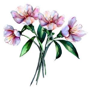 Romantic Watercolor Flowers PNG Eer PNG