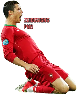 Ronaldo Celebration Euro2012.png PNG