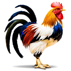 Rooster Crowing Picture PNG Ryp