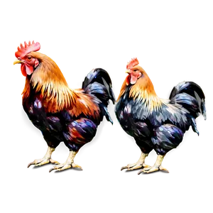 Rooster Family Portrait PNG Gpn PNG